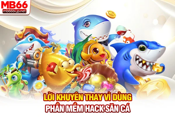 Lời khuyên thay vì dùng phần mềm hack săn cá