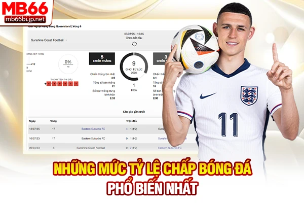 Những mức tỷ lệ chấp bóng đá phổ biến nhất